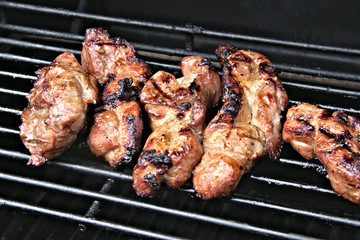 meat on the grill