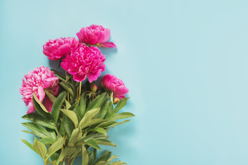 Bouquet of beautiful pink peony flowers as frame on punchy pastel blue. Copy space. Top view. Flat lay.