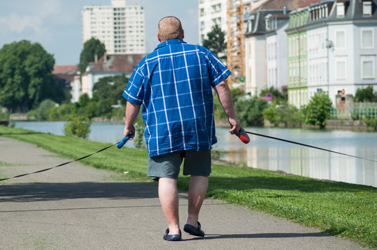 Fat Man Walking With Dogs In Border Water On Back View