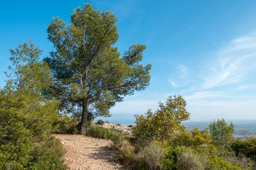 The Mediterranean Sea from the desert of the palms in Benicassim
