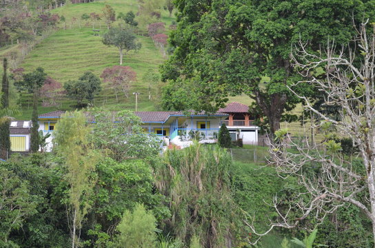 Finca Cafetera