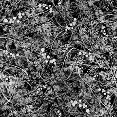 Watercolor floral seamless background, texture of leaves, grasses, plants. Juniper with berries, moss,wild grass,  plants. Natural wood pattern.Beautiful pattern for your design. Manual graphics.