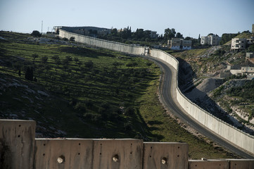 wall of palestina