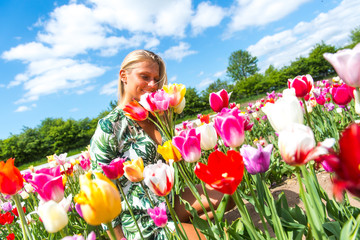 Junge Frau pflückt Blumen auf einem Feld