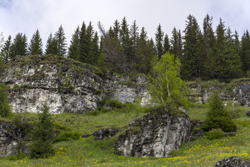 landscape - low limestone rocks on a blooming glade in a mountain forest on a cloudy day