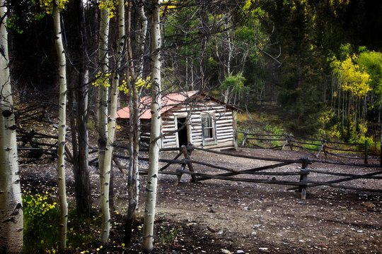 Cabin Living: This seemingly abandoned cabin is nestled deep in the woods near Bonanza, Colorado. It is so shaded by a large tree canopy the casual viewer would not know it's late summer.