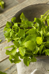 Raw Green Organic Dropwort Herb