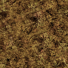 Watercolor floral seamless background, texture of autumn leaves, grasses, plants. Juniper with berries, moss,wild grass, plants. Natural wood pattern. Beautiful pattern for your design. Brown, red.