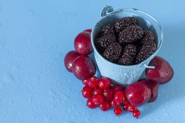 A mulberry and other berries in a blue bucket, on a blue background