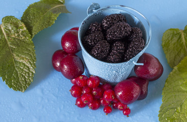 A mulberry and other berries in a blue bucket, on a blue background