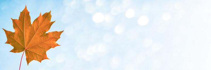 autumn landscape with bright colorful foliage. Indian summer.