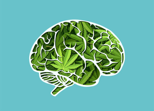 Vector of a human brain made of marijuana leaves