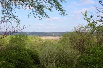 The country landscape from the trees of the forest.