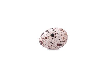 One small quail egg on a white background. isolated