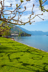 Obraz premium Villa Melzi and its gardens near Bellagio at the famous Italian lake Como in May