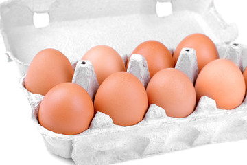 Chicken brown eggs in the egg tray. Isolated
