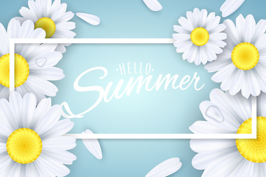 Hello Summer. Seasonal banner. Camomiles flowers on a light blue background. Text in a frame. Falling petals. Vector illustration