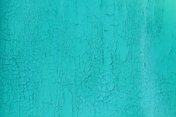 Old sheet of plywood blue with peeled paint. Background. Texture. Close-up.