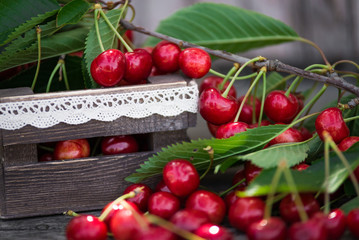 Cherries with leaves in vintage wooden box on rustic wooden table. Copy space