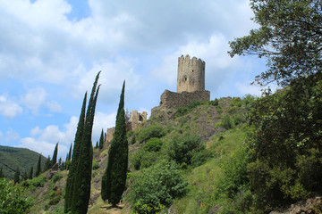 chateaux de lastours sur la montagne noire dans l'aude en france