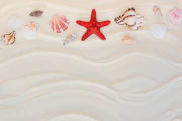 Fototapeta na wymiar Top view of Beach sand with shells and starfish. summer background concept. vintage tone.