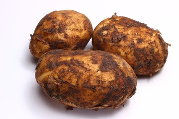 Dirty potato on a white background