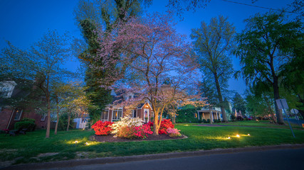 Beautiful home during Paducah's Lighted Dogwood Trail 2018