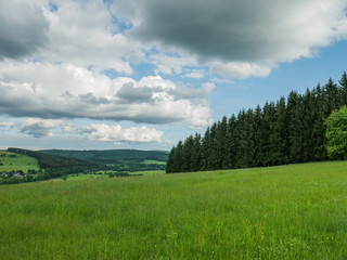 Obraz premium Wunderschöne grüne Wiesen unter einem bewolktem Himmel