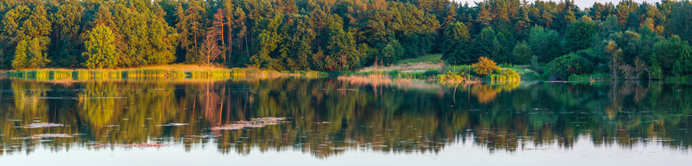 Evening summer lake landscape.