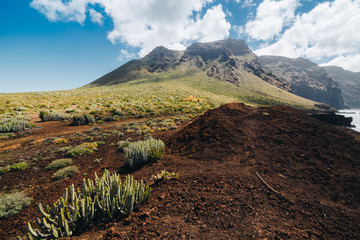 Green, but volcanic landscape with cactus’s of Tenerife island with Los Gigantes Cliffs behind