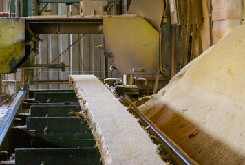 Sawmill. Process of machining logs in equipment sawmill machine saw saws the tree trunk on the plank boards. Wood sawdust work sawing timber wood wooden woodworking