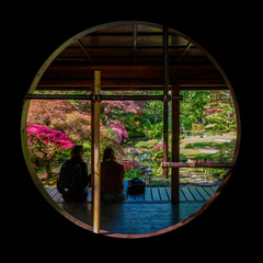 Visitors of the Japanese Garden Clingendael in The Hague enjoy the view and colors