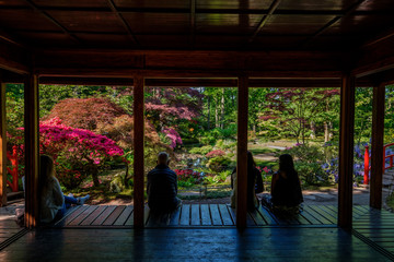 People relaxing and enjoy the beauty of the Japanese Garden in Clingendael, The Hague, Netherlands