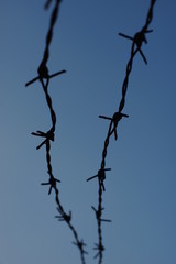 Barbed wires on blue sky background 