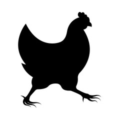 Vector image of chicken silhouette