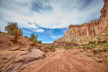 Dried up river bed in the Capitol Reef National Park, Utah, USA.