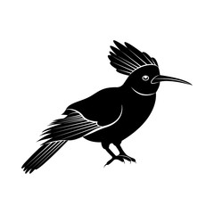Vector image of the silhouette of the bird of Odd