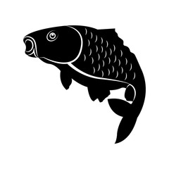 Vector image of fish carp silhouette