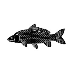 Vector image of fish carp silhouette