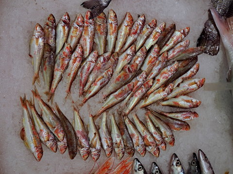 barbun fishes on the market desk
