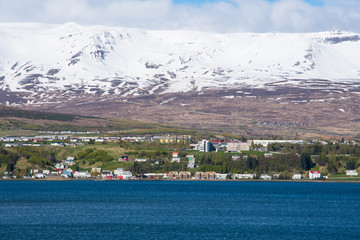 Obraz premium city of Akureyri in North Iceland