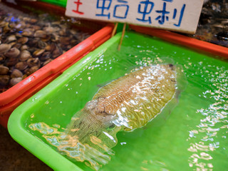 Fresh squid selling in the box