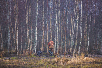 A process of hunting during hunting season, process of duck hunting, group of hunters and drathaar,...