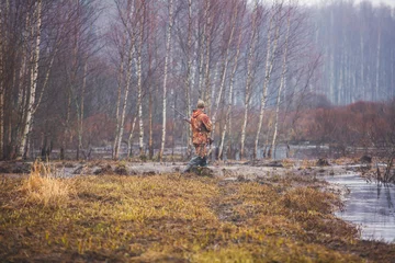 Papier Peint photo autocollant Chasser A process of hunting during hunting season, process of duck hunting, group of hunters and drathaar, german wirehaired pointer dog  