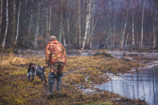 A process of hunting during hunting season, process of duck hunting, group of hunters and drathaar, german wirehaired pointer dog
