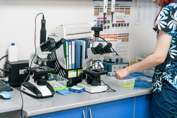 medical laboratory in the veterinary clinic