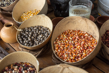 semillas exhibidas en bowls de madera