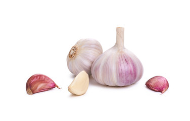 Garlic Isolated against a white background.
