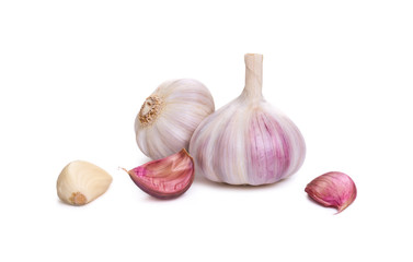 Garlic Isolated against a white background.