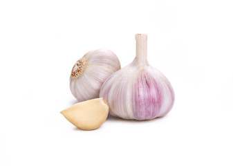 Garlic Isolated against a white background.